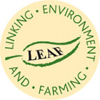 VM leaf logo